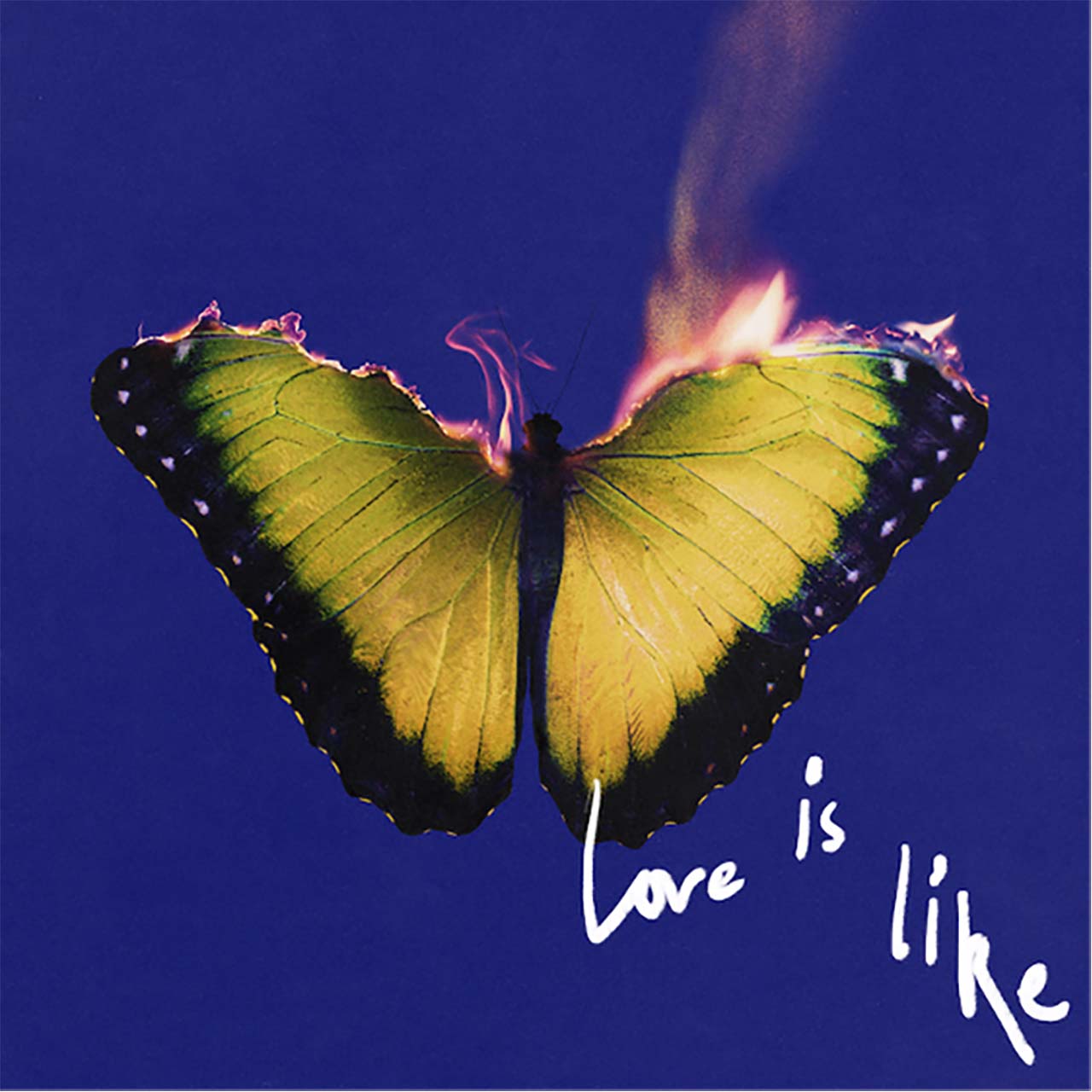 Maroon 5s nye album 'Love Is Like' er ude 15. august