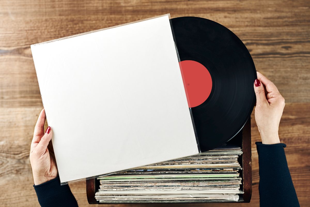 Goose overrasker med begrænset