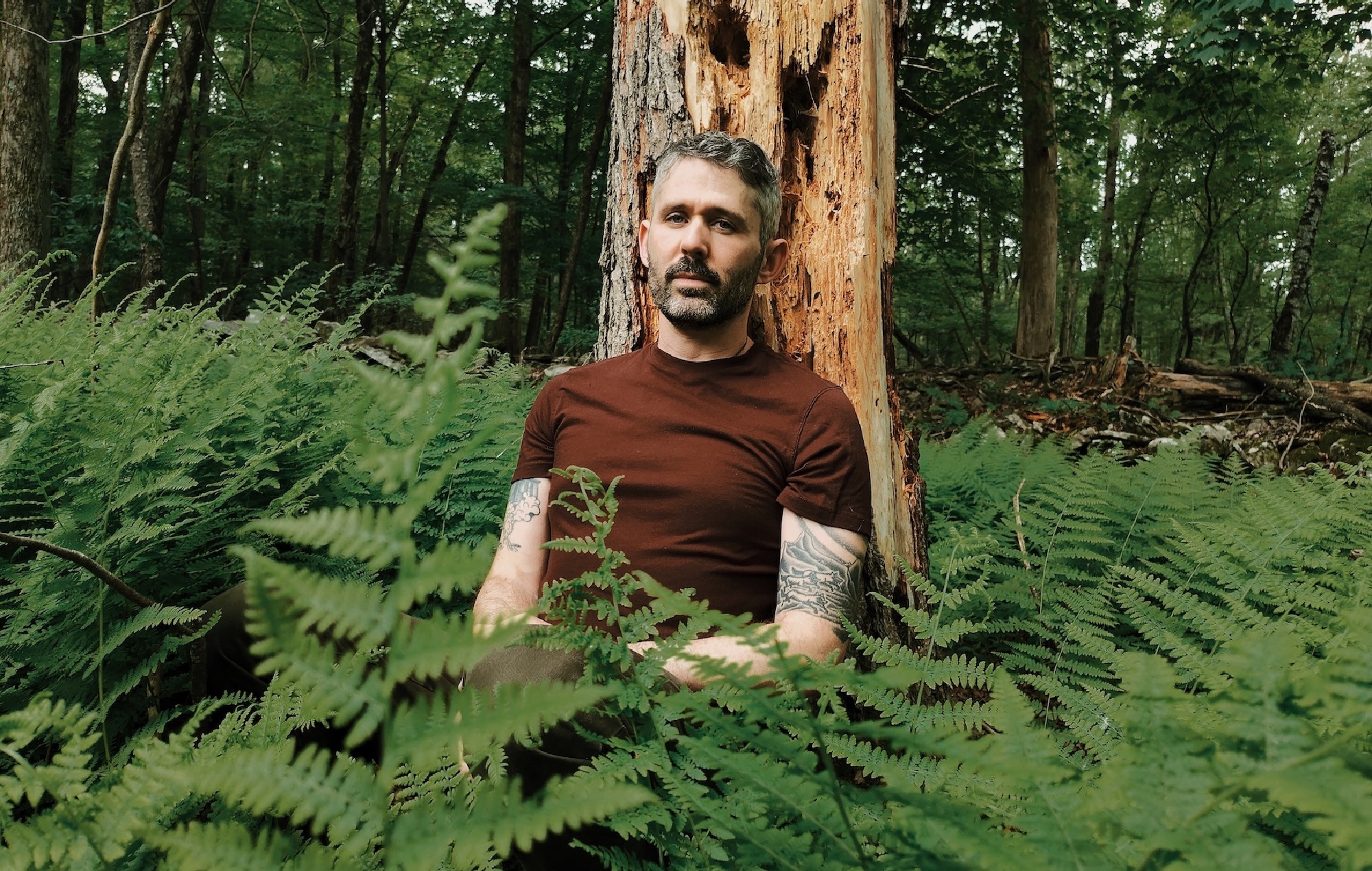 Antlers annoncerer det første album på fire år 'Blight' med opdrættende nye single 'Carnage'