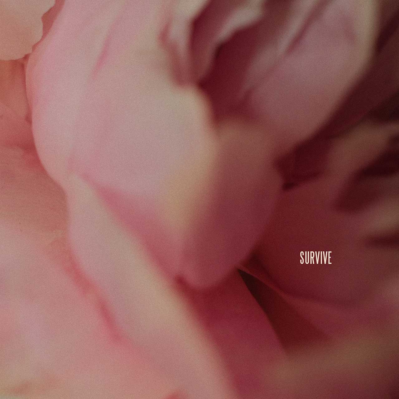 Lewis Capaldi donerer 734.000 timers gratis terapi til de nødlidende