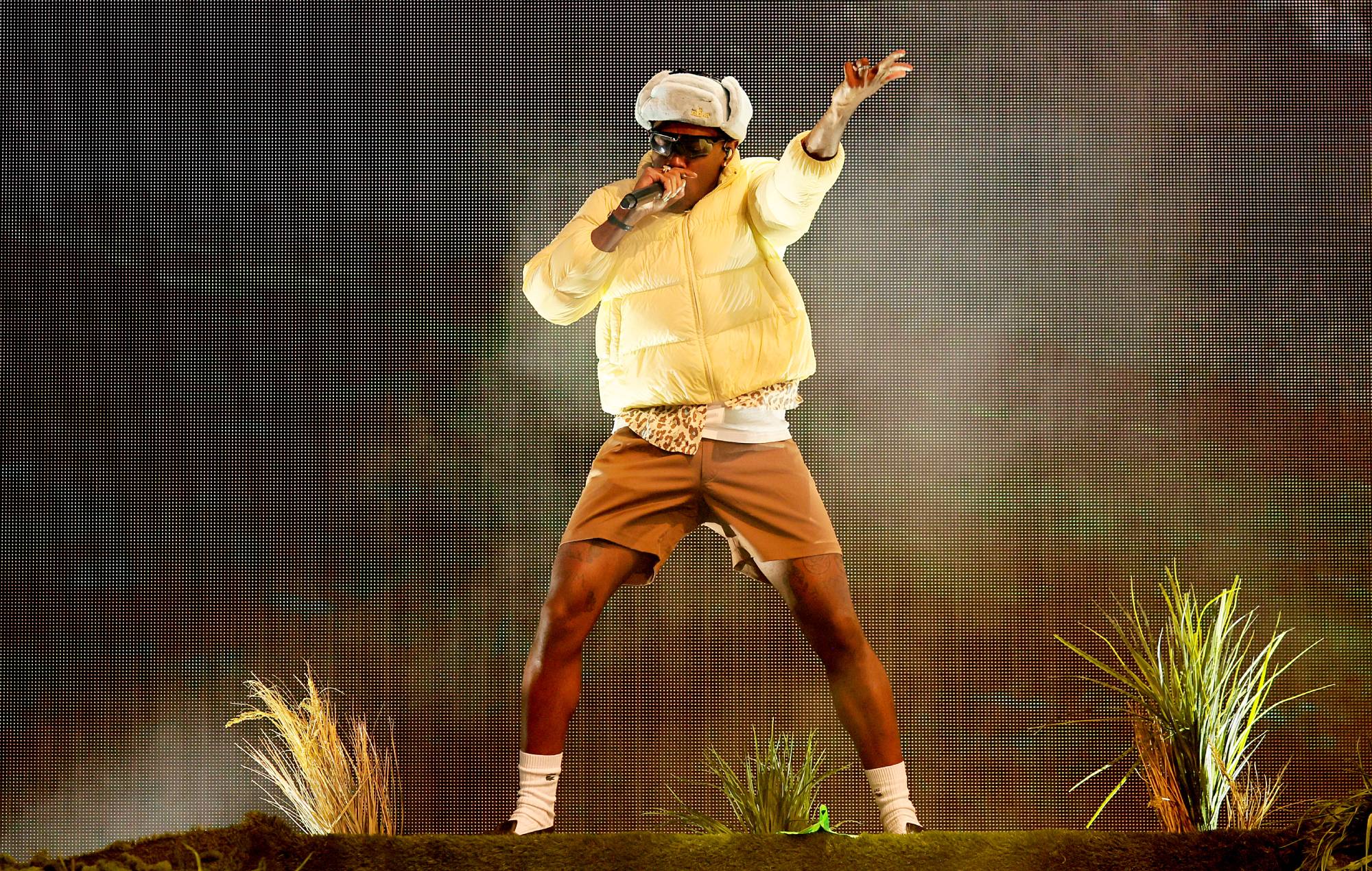 Tyler, skaberen annoncerer 2025 Camp Flog Gnaw line-up med en ordsøgning