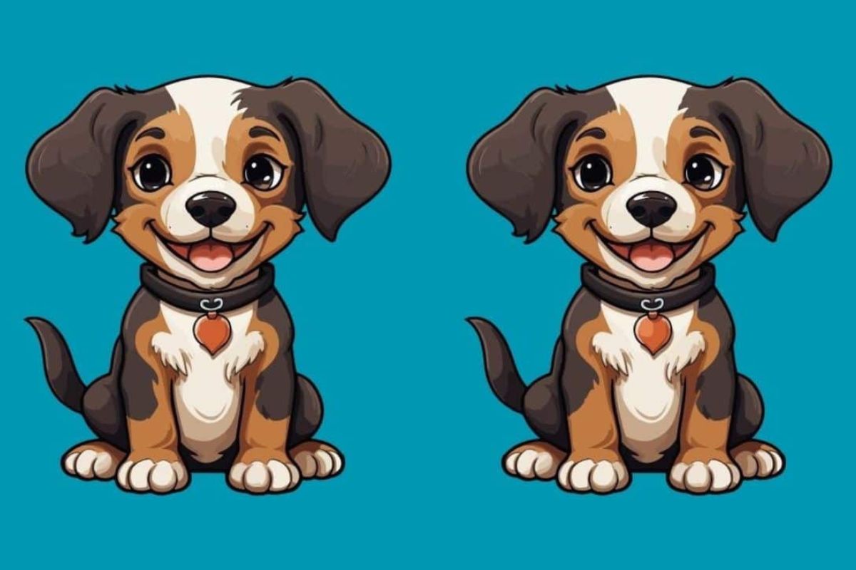 Kan du finde 3 forskelle på disse