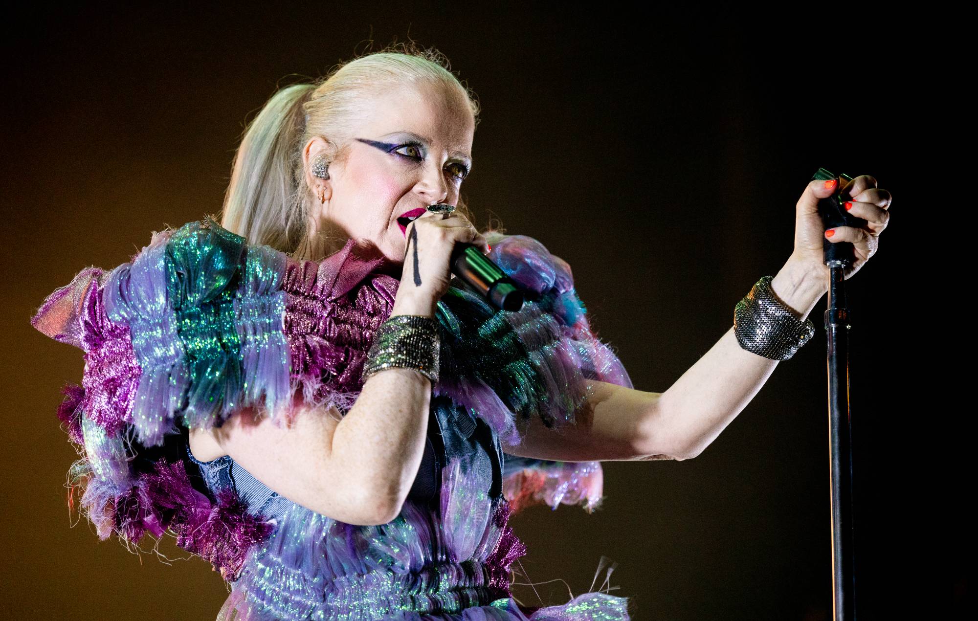 Shirley Manson forklarer skraldespandets sidste amerikanske overskriftsturné skyldes "Tyvery i pladeindustrien"