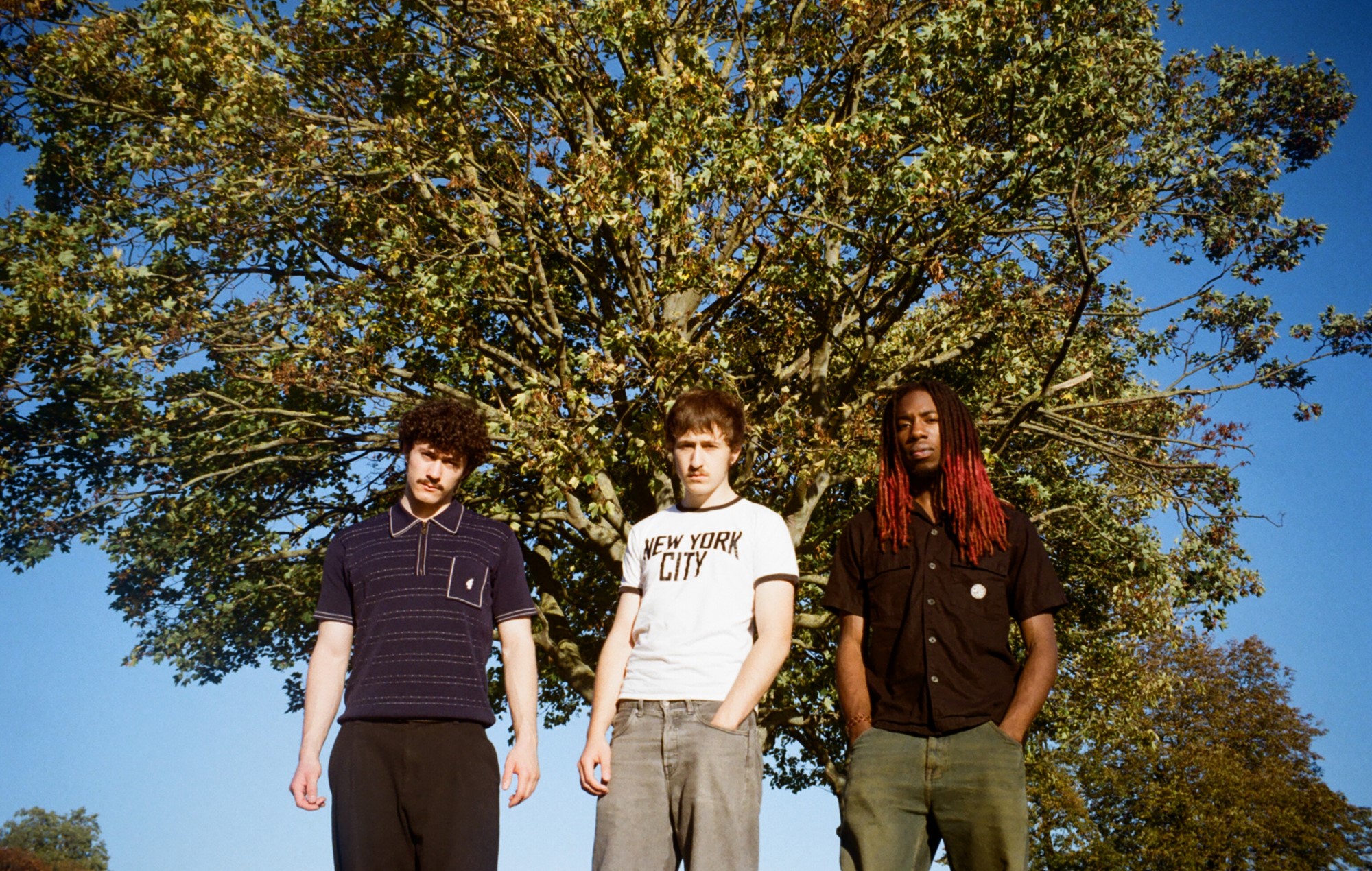 buzzy jazztrio nægter at blive i deres bane