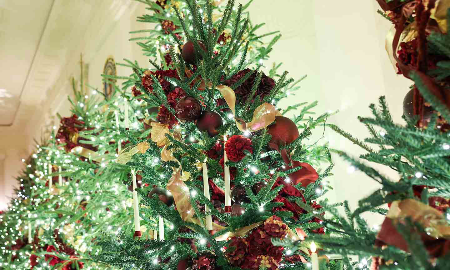 The Beach Boys & Jon Pardi optræder ved National Christmas Tree Lighting