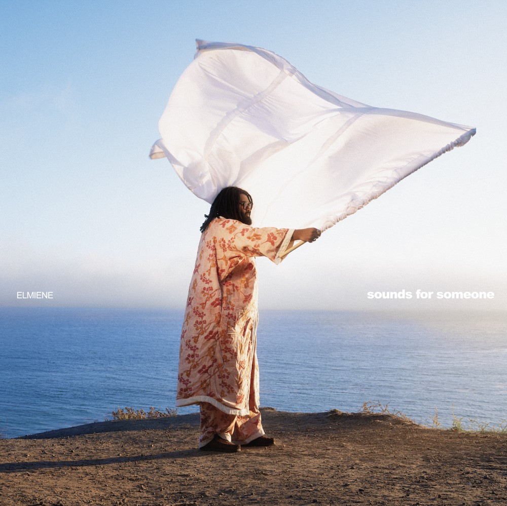 elmiene lyder for nogen anmeldelse