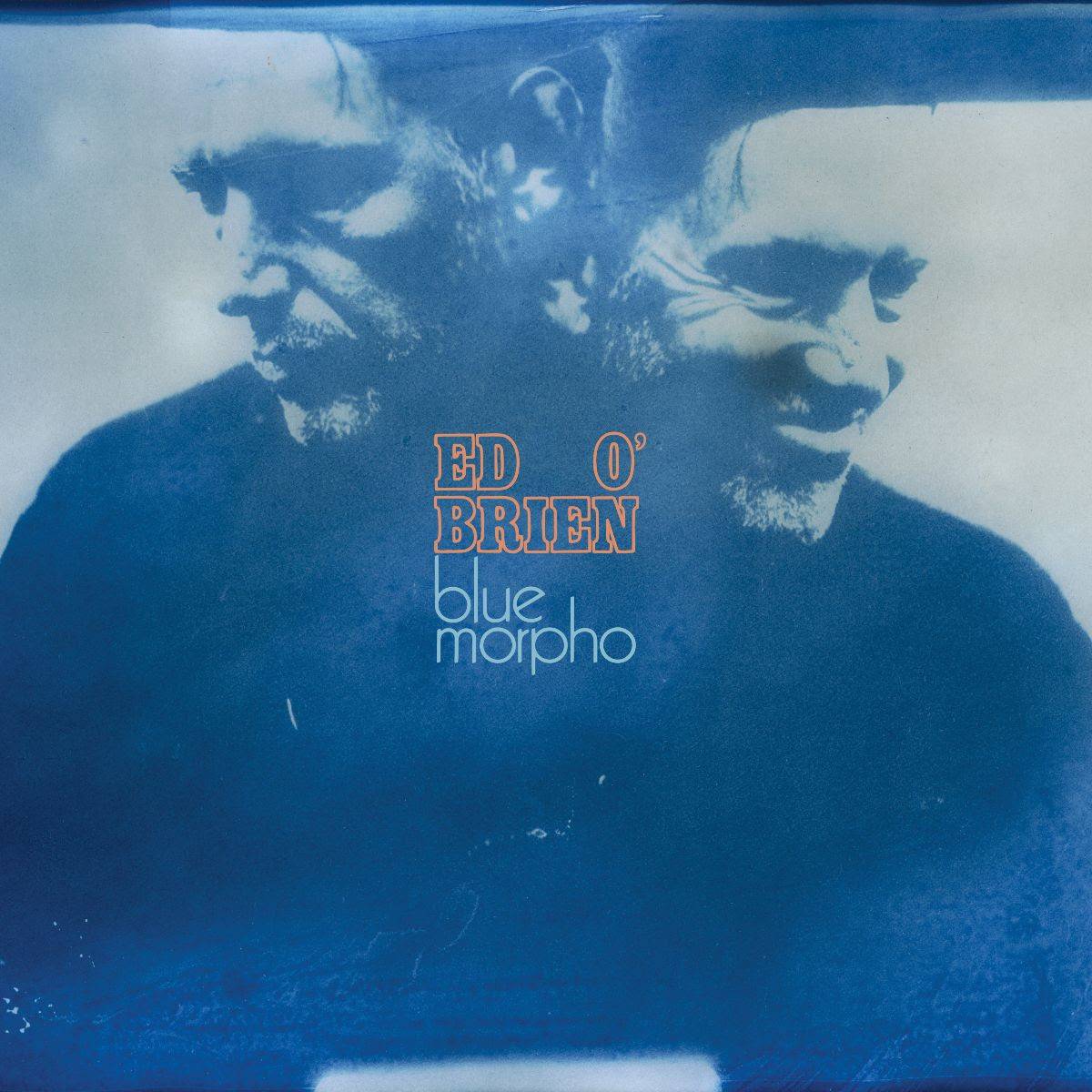 Ed O'Brien, 'Blue Morpho'. Kredit: Tryk