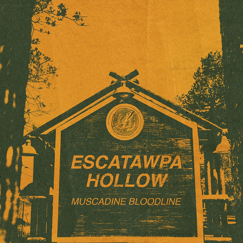 Buscadine Bloodline Escatawpa Hollow