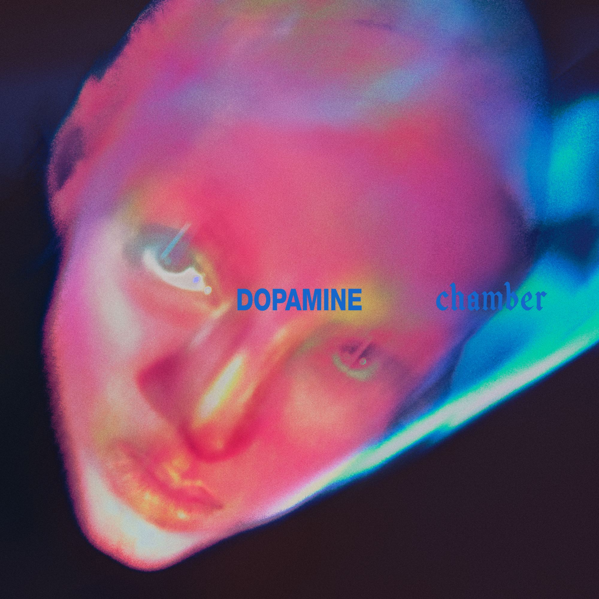 Fontaines dc dopamin kammer gennemgang