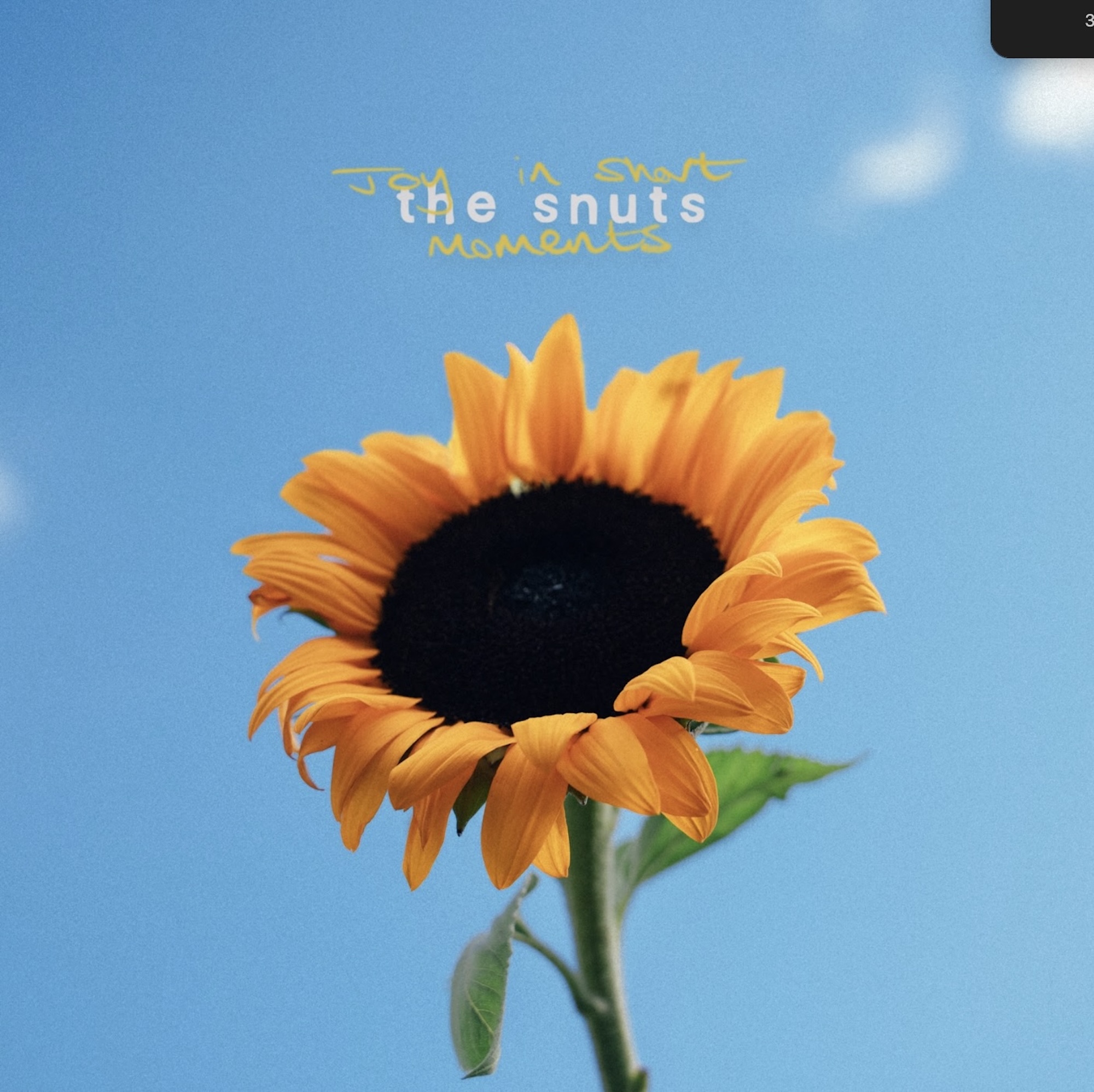 Kunstværket Snuts 'Joy In Short Moments'